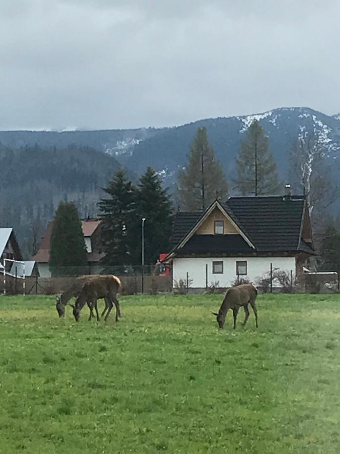 A3Apartament 2 Pokojowy Aneks Kuchenny 2 Lazienki Wlasne Na Korytarzu Villa Jumper Pobyt Na Termach Dla 2 Osob Gratis Zakopane Eksteriør bilde
