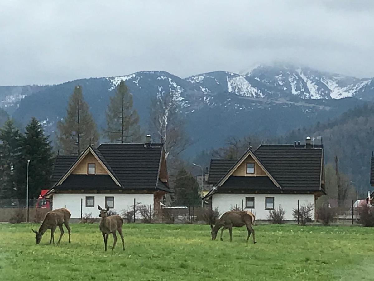 A3Apartament 2 Pokojowy Aneks Kuchenny 2 Lazienki Wlasne Na Korytarzu Villa Jumper Pobyt Na Termach Dla 2 Osob Gratis Zakopane Eksteriør bilde